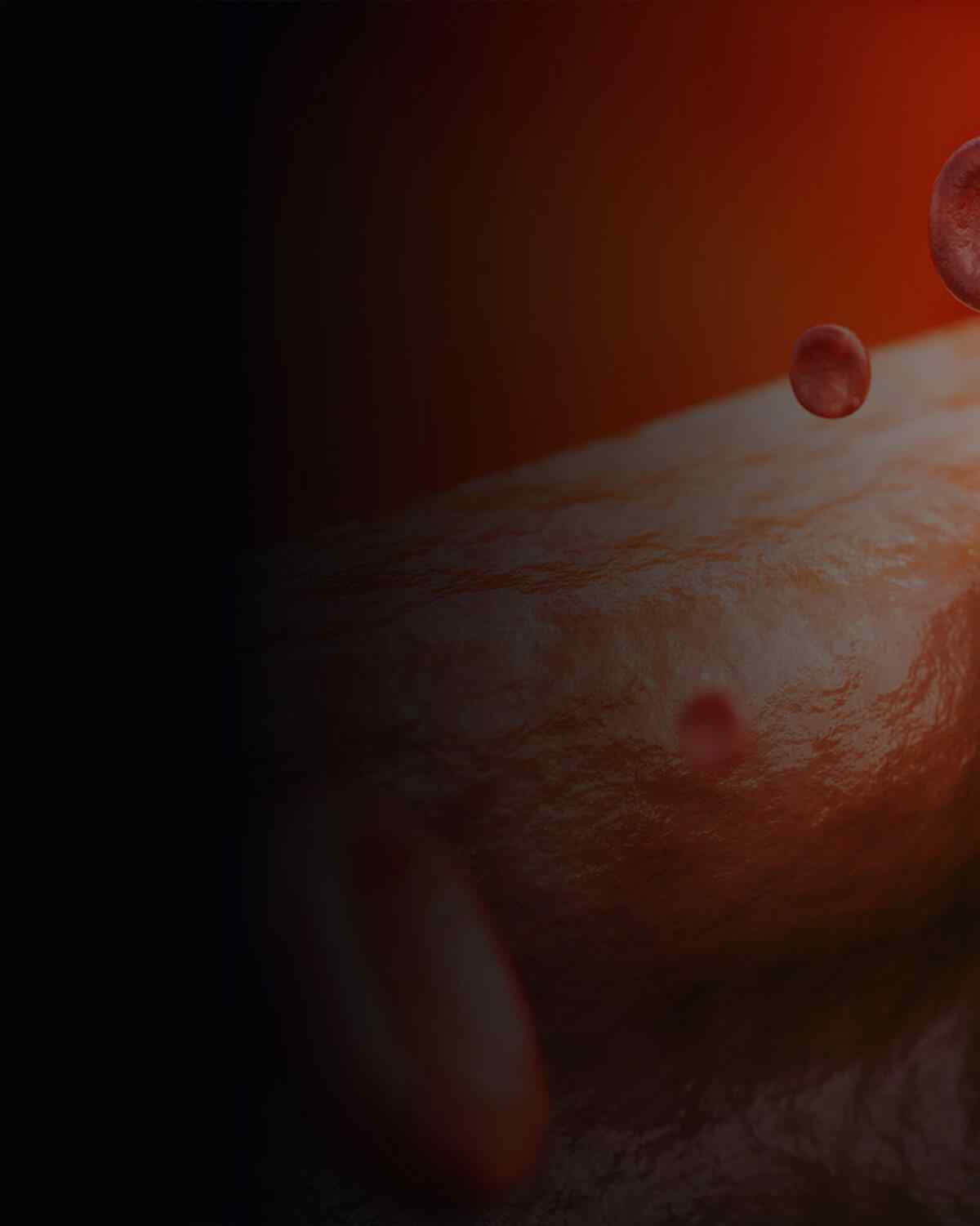 http://meicomed.com/wp-content/uploads/2021/08/interactive_image_left.jpg