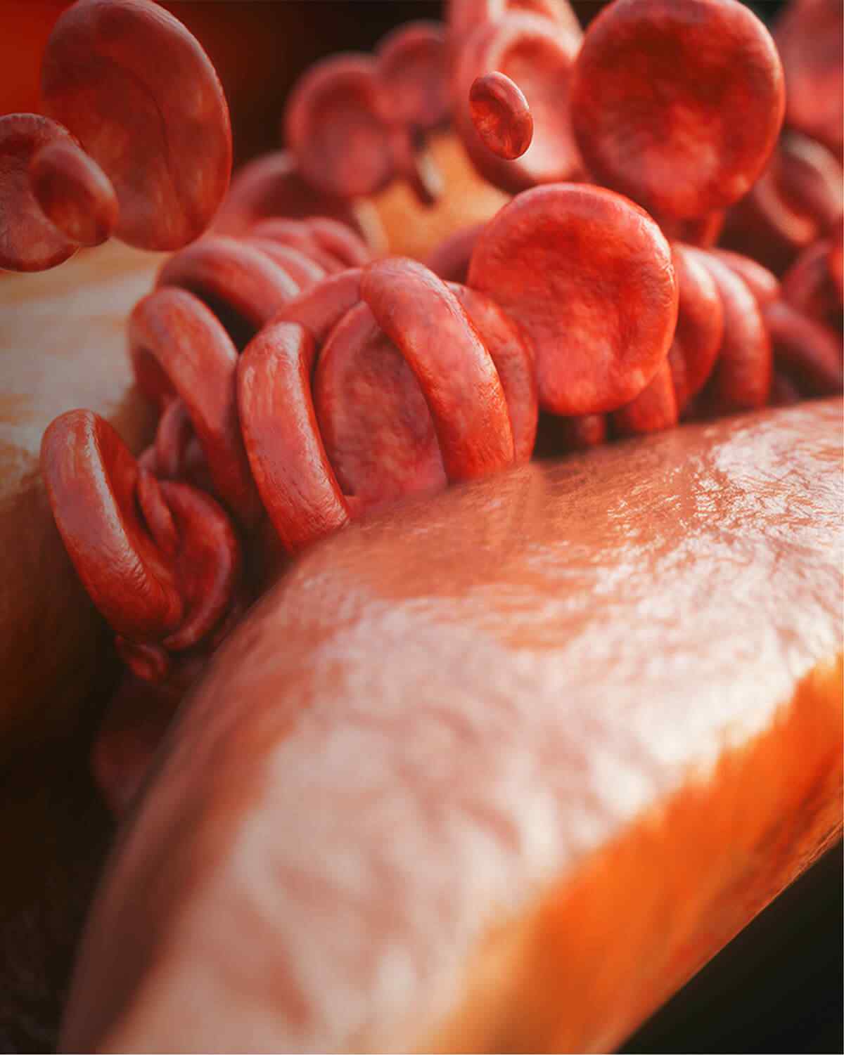 http://meicomed.com/wp-content/uploads/2021/08/interactive_image_right.jpg