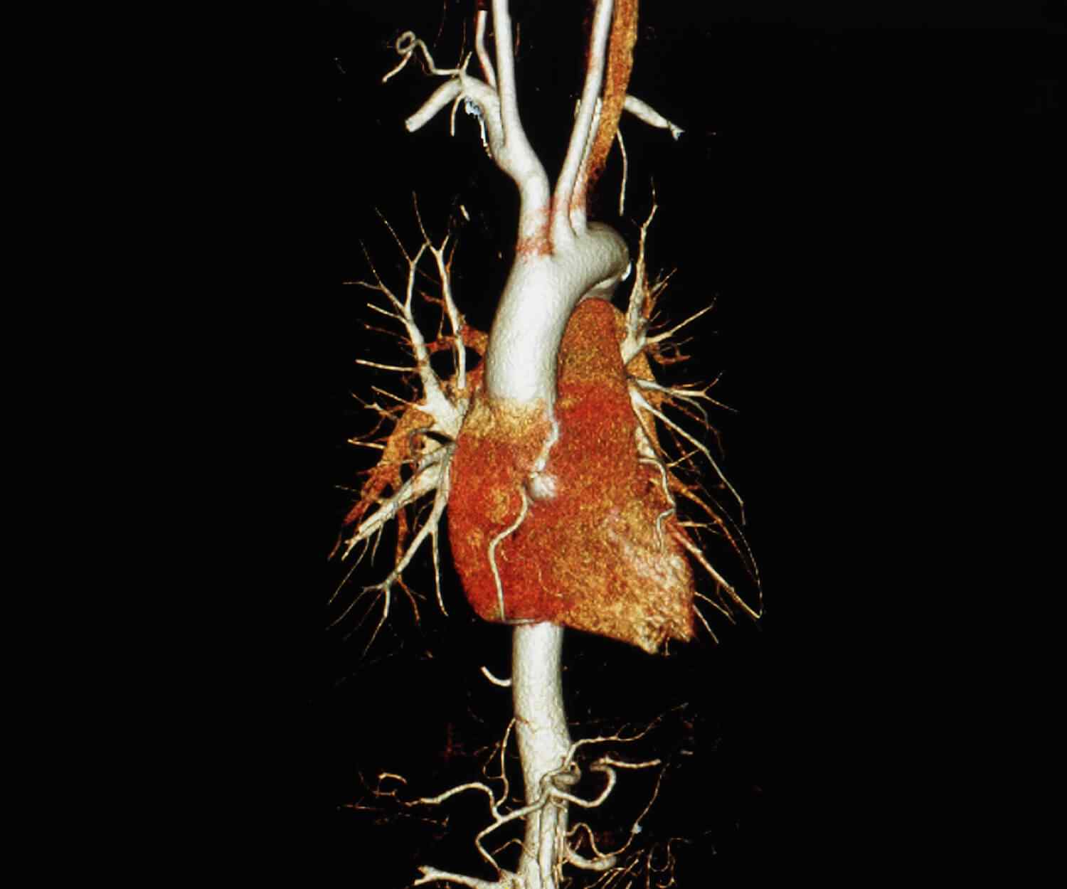 http://meicomed.com/wp-content/uploads/2021/09/card_image_10.jpg