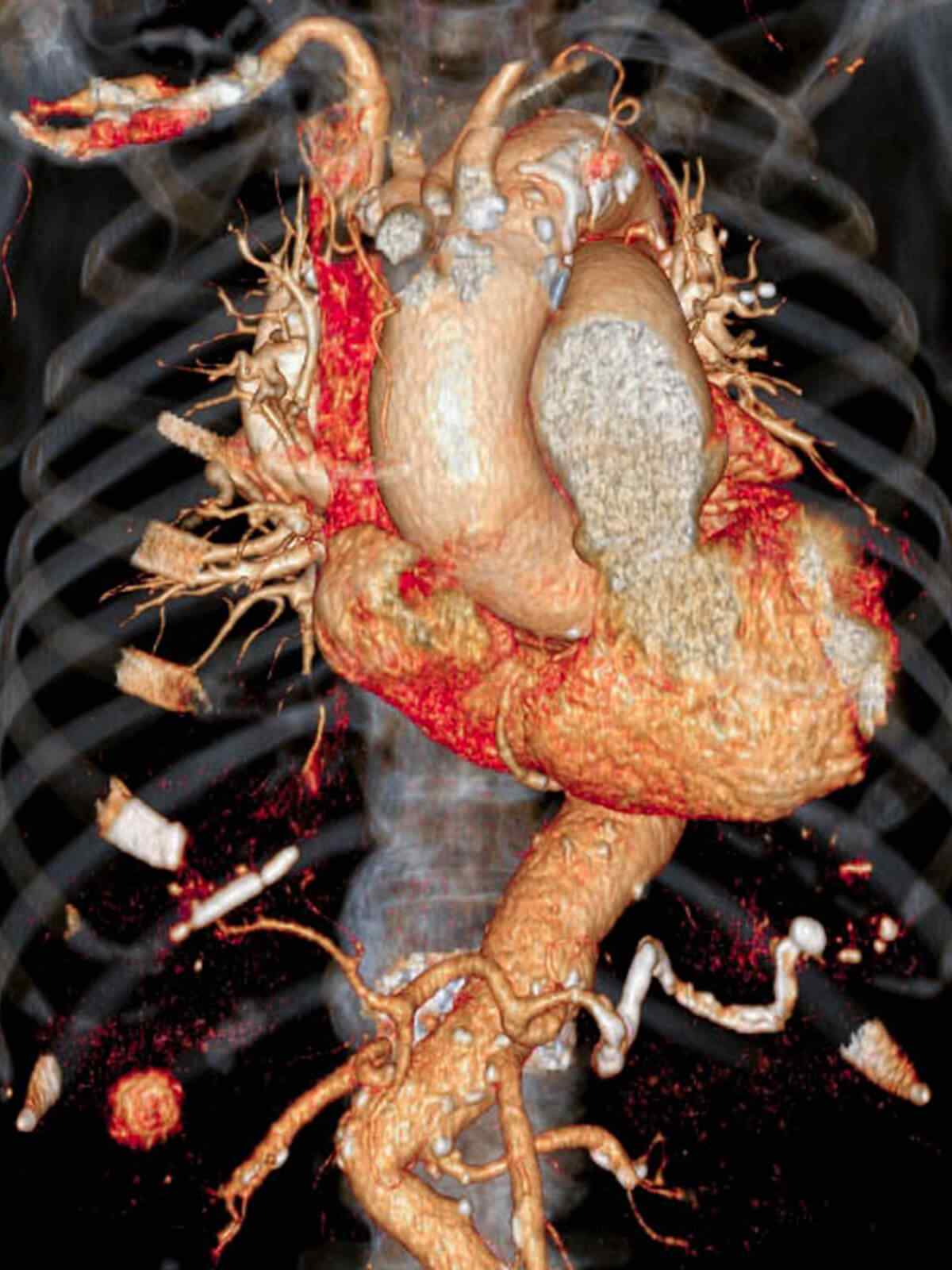 http://meicomed.com/wp-content/uploads/2021/09/single_service_01.jpg